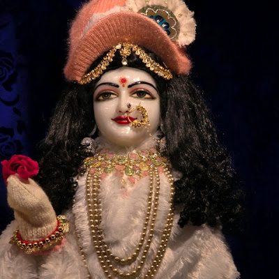 Mero Vrindavan Mero Braj