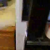Motorcycle TV