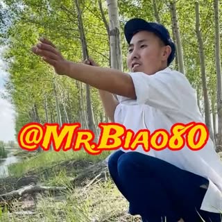 Mr Biao 80