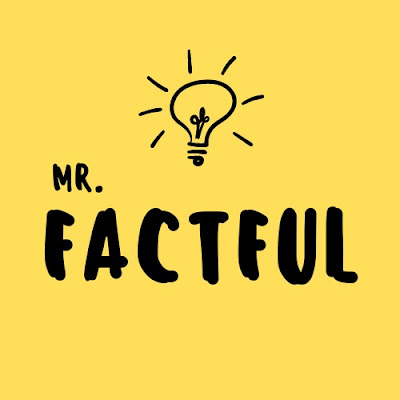 Mr Factful