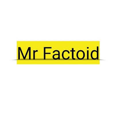 Mr Factoid