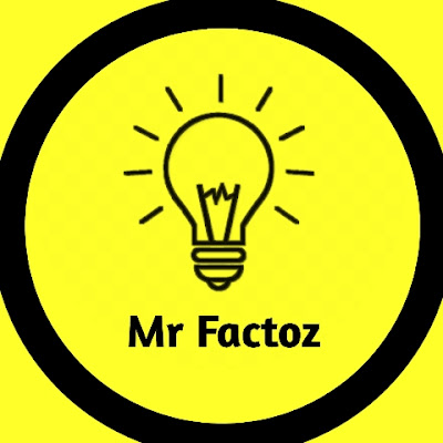 Mr Factoz 0.2