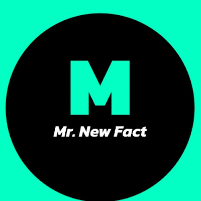 Mr. New Fact