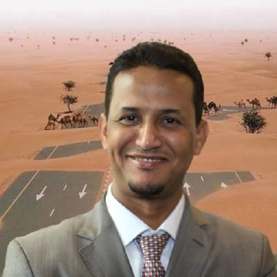 محمد المختار الشنقيطي