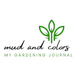 Mud And Colors