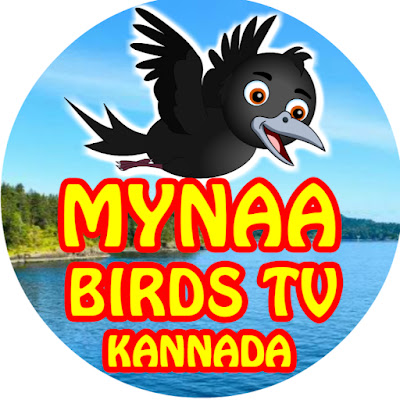 Mynaa Birds TV - Kannada