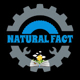 Natural  Fact  Videos