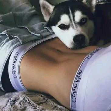 Fitness dog