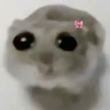 Nopaku