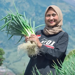 NOVI PETANI HAPPY