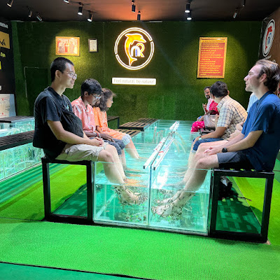 NR fish spa
