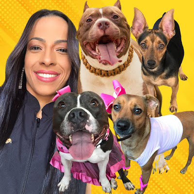 O mundo de Ozzy, Ully e Kitty