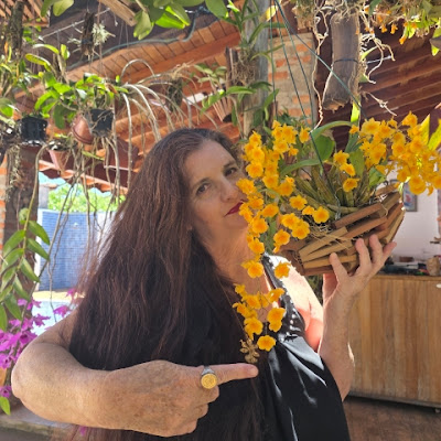 Orquídeas com a Noca