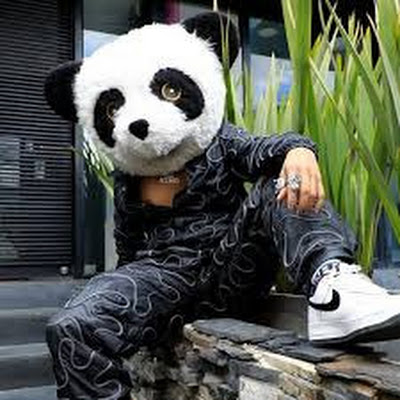 Panda Aventurero
