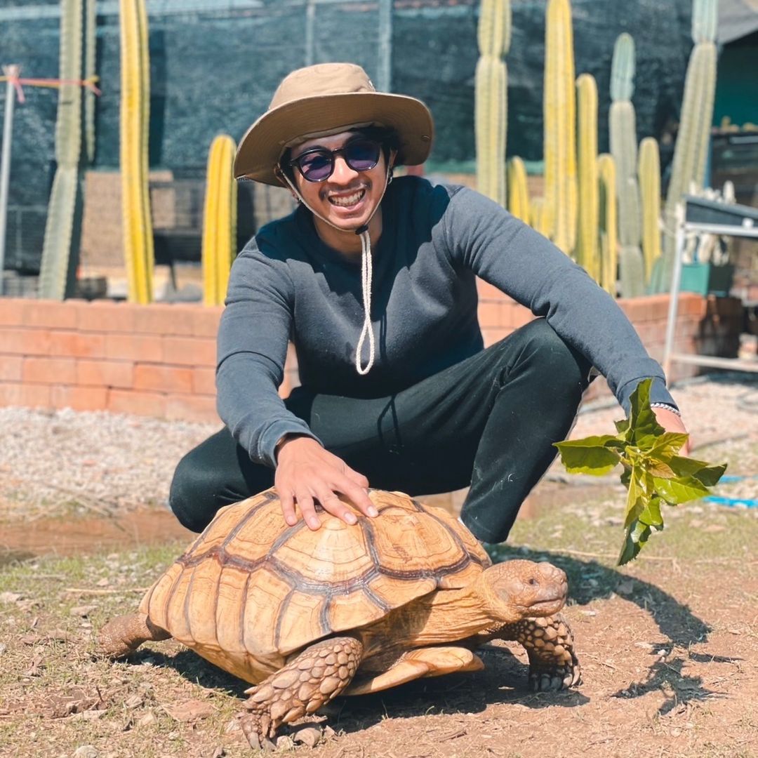 Pasang Sulcata Lamphun