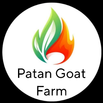 Patan Goat Farm