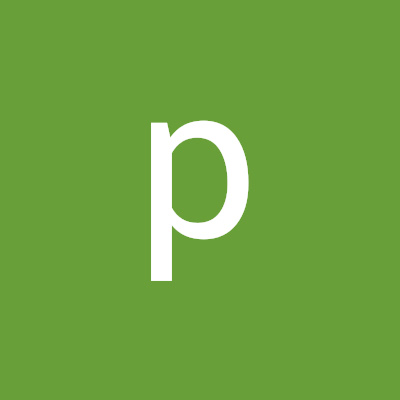 pdminh1963