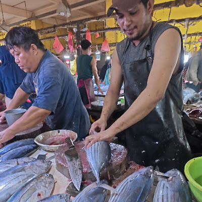 Pekan Tuna