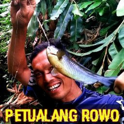 Petualang Rowo