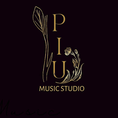 Piu Music Studio