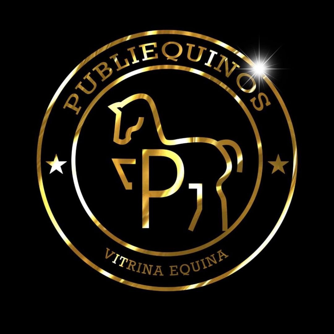 Publiequinos