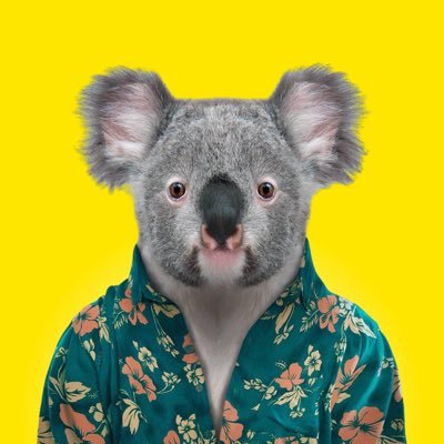Queensland Australia
