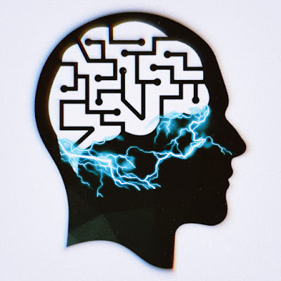 raouf fact | رؤوف فاكت