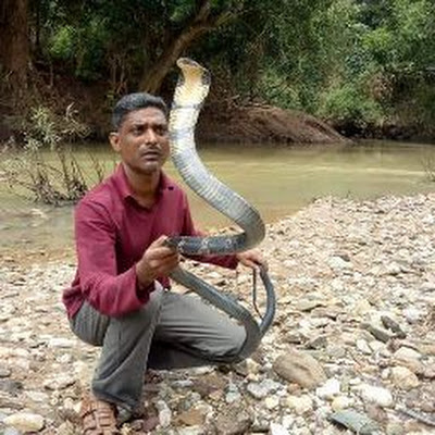 Razak Shah Snake Rescuer