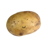 Renovated Potato