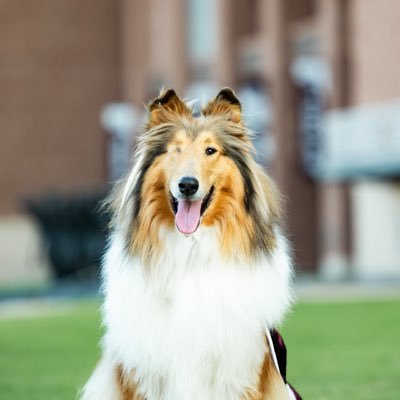 Reveille X