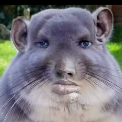 rogersolosurversebtw_
