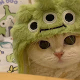 Ronkkhs