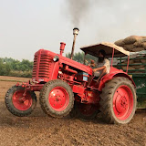 Royal Tractors