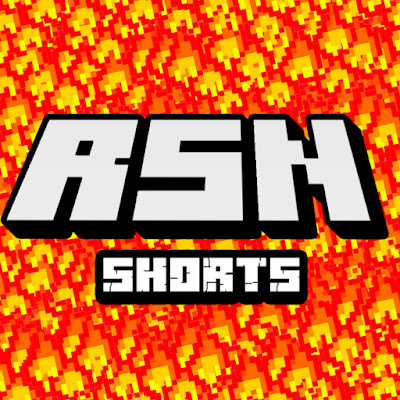 RSN ШОРТСЫ