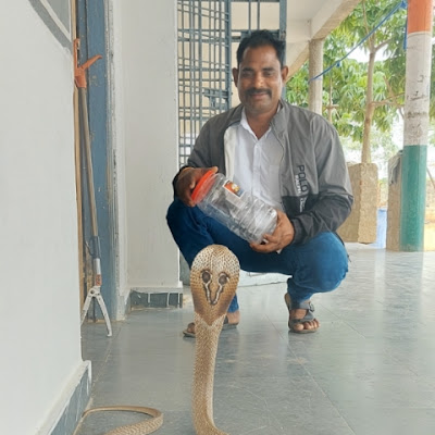 Sagar Snake Society