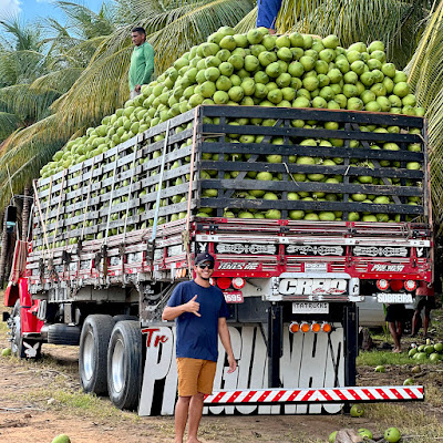 SAGUADIN PRESSÃO