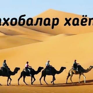 Abdulloh Domla Video maruza