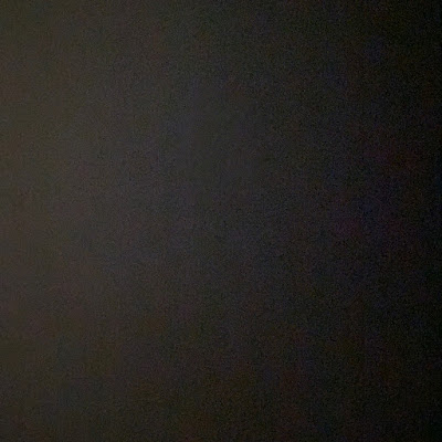 saini 223