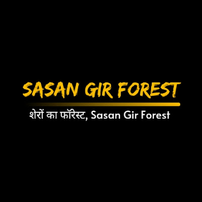 Sasan Gir Forest