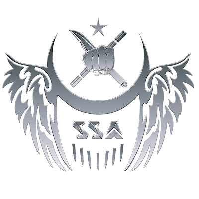 Savunma Sanatları Akademisi