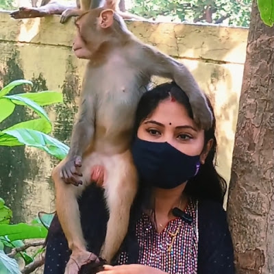 Sewa Shraddha