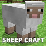 sheep craft studios