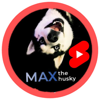 Shorts Max The Husky