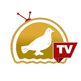 Siasat TV
