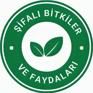 Şifalı Bitkiler ve Faydaları