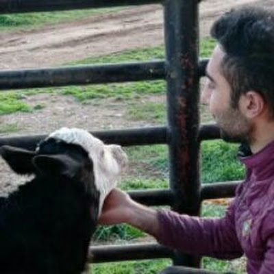 Simental Tv