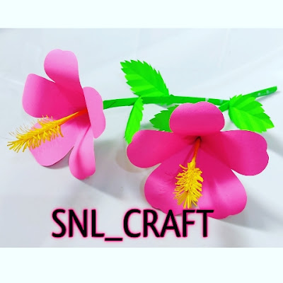 Snl Crafts