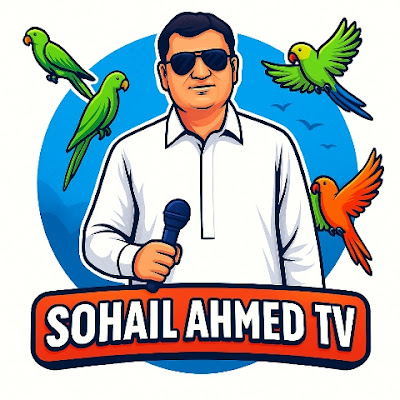 Sohail Ahmed Tv