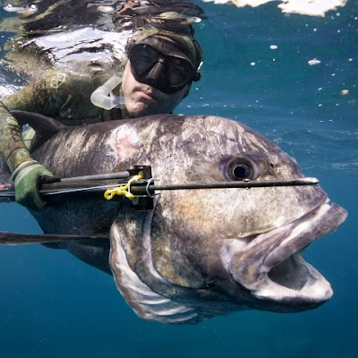 Spear Fishing