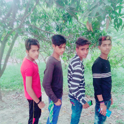 star gang. brothers
